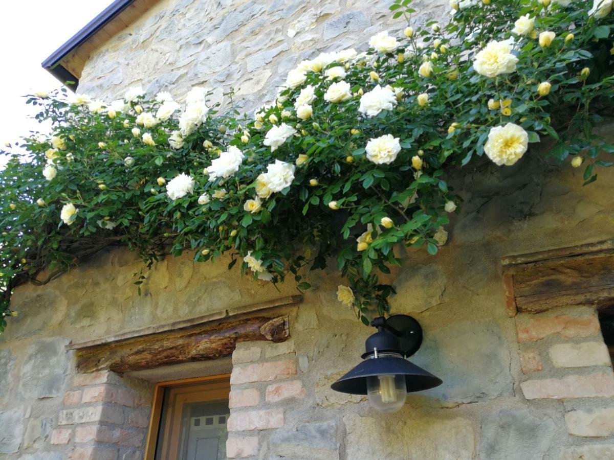 Villa Cà di Minù Tarzo Esterno foto
